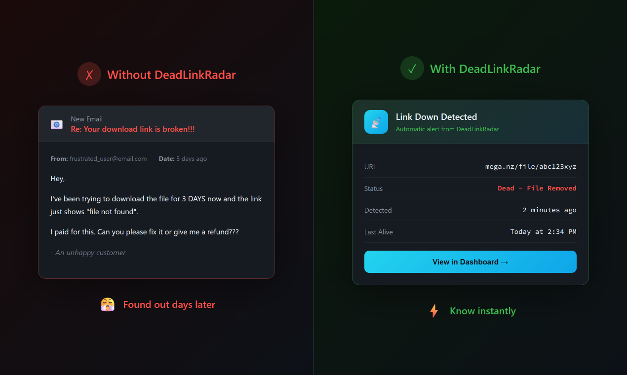 DeadLinkRadar features